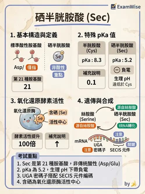 醫檢師 - 胺基酸代謝與先天性疾病 - AI 圖文解析預覽