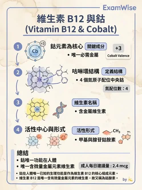醫檢師 - 電解質與微量元素 - AI 圖文解析預覽