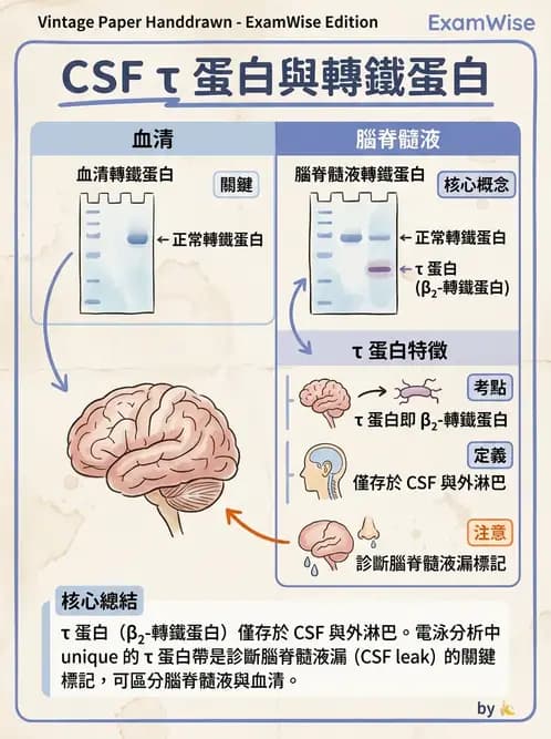 醫檢師 - 血清蛋白與蛋白質檢測 - AI 圖文解析預覽