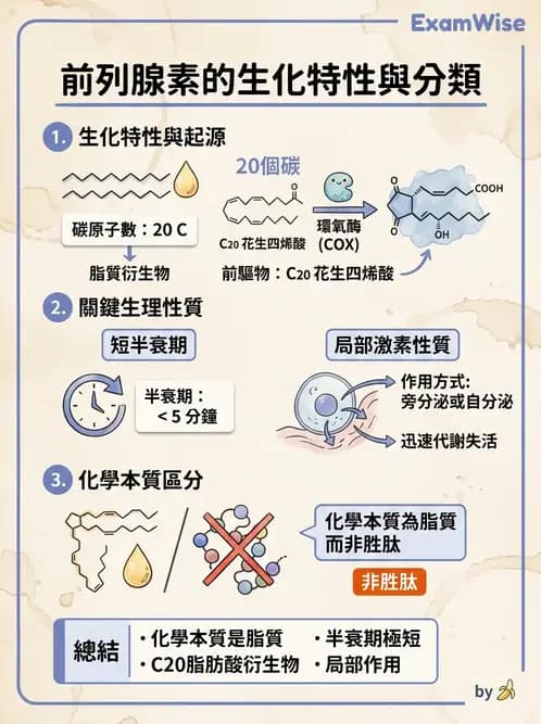 醫檢師 - 脂質代謝與酮體 - AI 圖文解析預覽