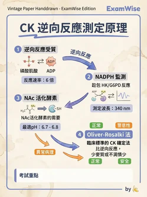 醫檢師 - 心肌標誌與心臟診斷 - AI 圖文解析預覽
