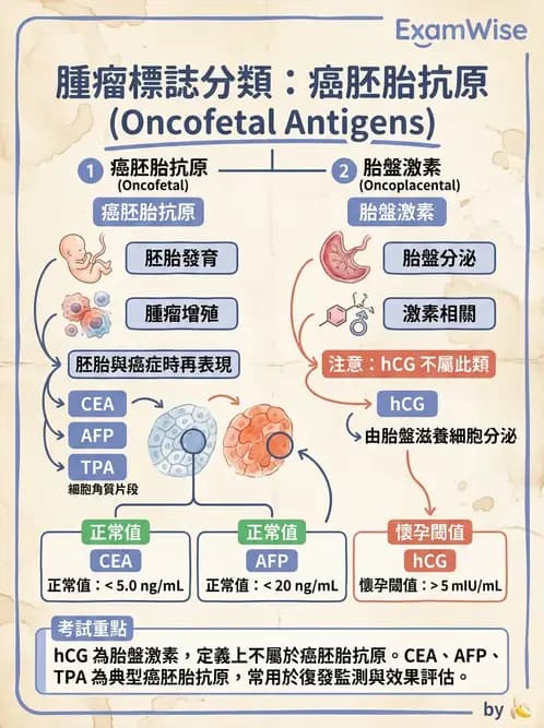 醫檢師 - 腫瘤標誌 - AI 圖文解析預覽