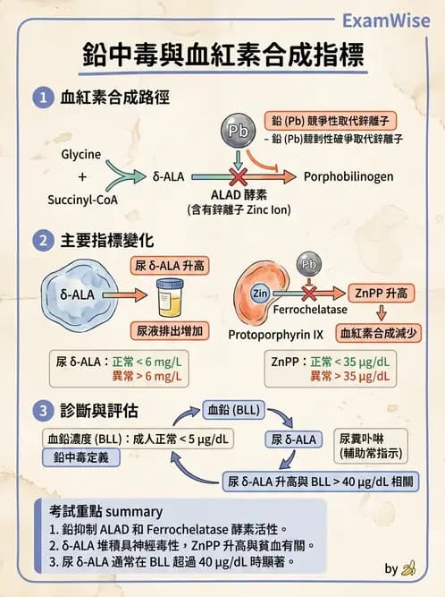 醫檢師 - 治療藥物監測與毒物學 - AI 圖文解析預覽