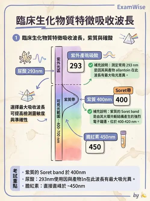 醫檢師 - 基本概念與儀器分析 - AI 圖文解析預覽