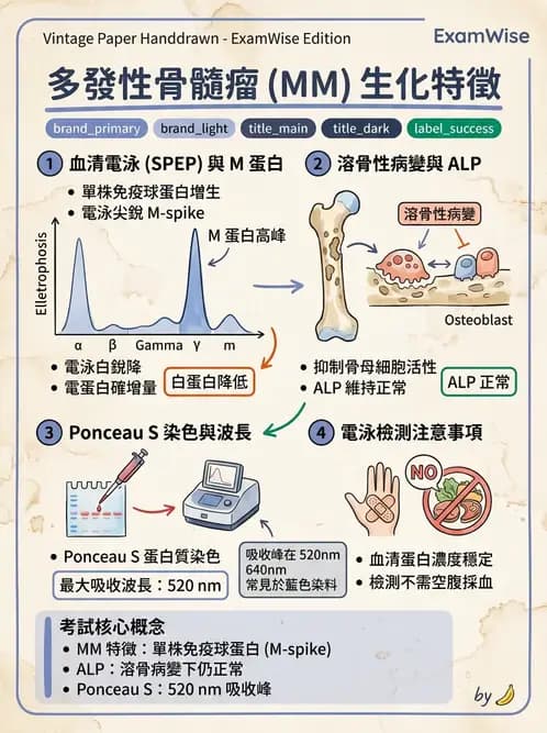 醫檢師 - 血清蛋白與蛋白質檢測 - AI 圖文解析預覽