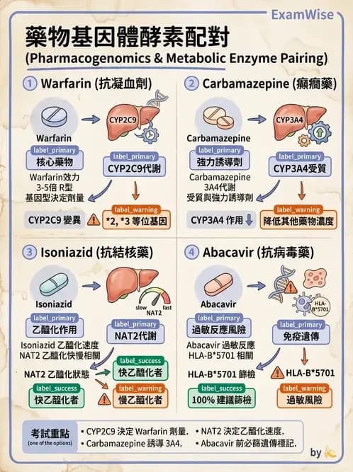 醫檢師 - 治療藥物監測與毒物學 - AI 圖文解析預覽