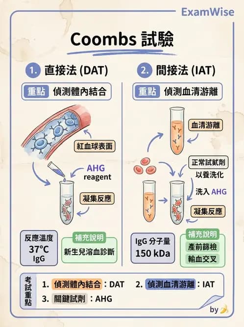 醫檢師 - 實驗室測試免疫法 - AI 圖文解析預覽