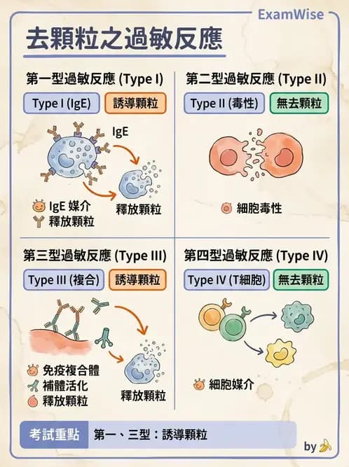醫檢師 - 過敏反應及測試法 - AI 圖文解析預覽