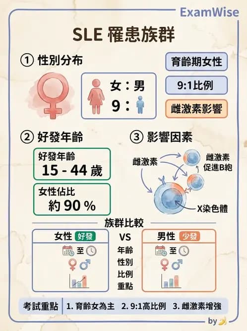 醫檢師 - 全身性紅斑性狼瘡與抗磷脂質症候群 - AI 圖文解析預覽