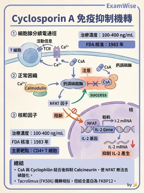 醫檢師 - 組織型與移植免疫學 - AI 圖文解析預覽