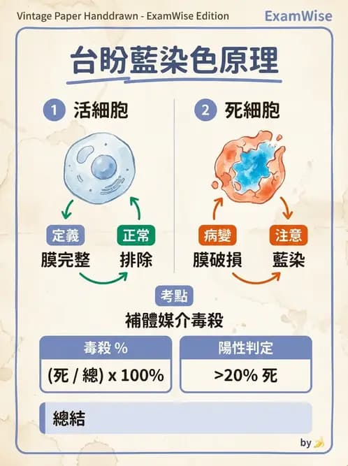 醫檢師 - 組織型與移植免疫學 - AI 圖文解析預覽
