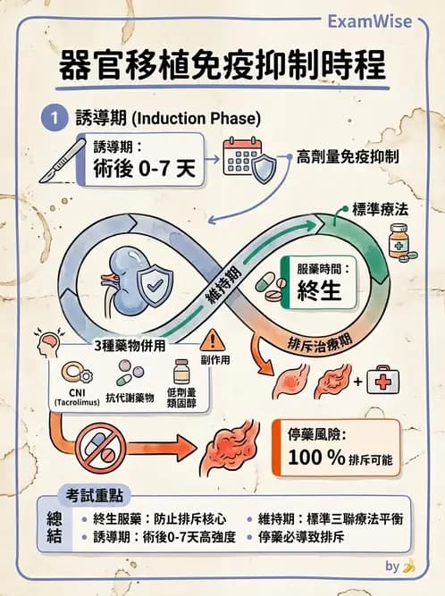 醫檢師 - 組織型與移植免疫學 - AI 圖文解析預覽