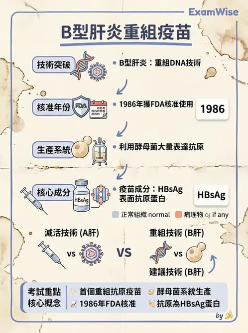 醫檢師 - 腫瘤免疫學免疫療法及疫苗 - AI 圖文解析預覽