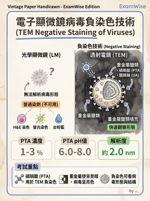 醫檢師 - 病毒檢驗技術 - AI 圖文解析預覽
