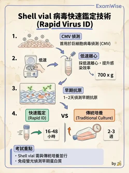 醫檢師 - 病毒檢驗技術 - AI 圖文解析預覽