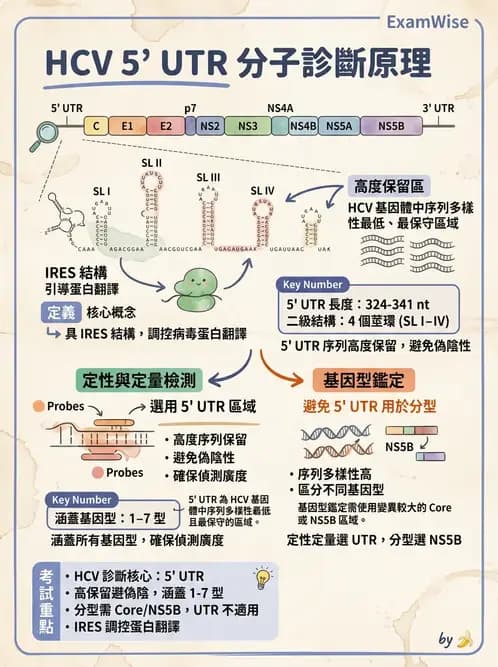 醫檢師 - 病毒檢驗技術 - AI 圖文解析預覽