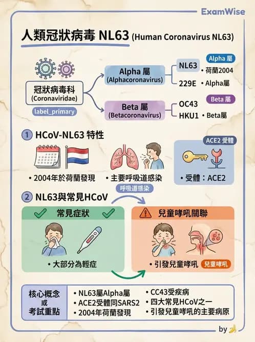 醫檢師 - 冠狀病毒科 - AI 圖文解析預覽