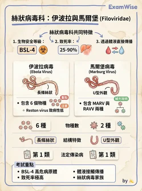 醫檢師 - 其他RNA病毒 - AI 圖文解析預覽