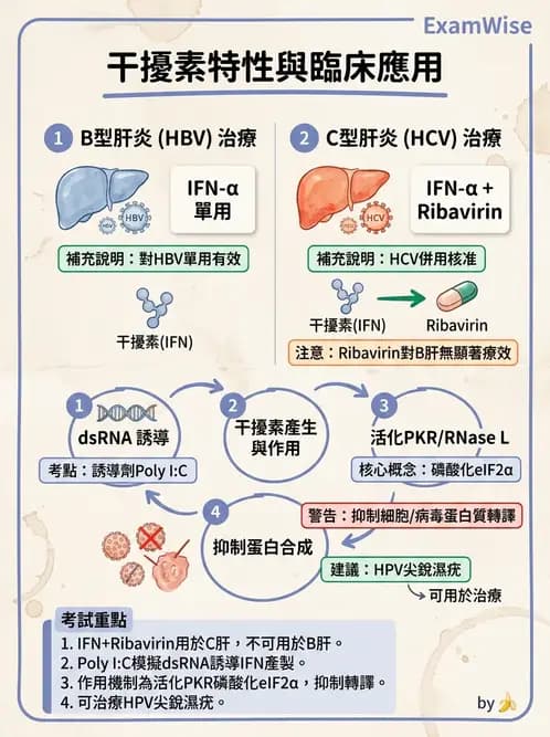 醫檢師 - 抗病毒藥物與疫苗通論 - AI 圖文解析預覽