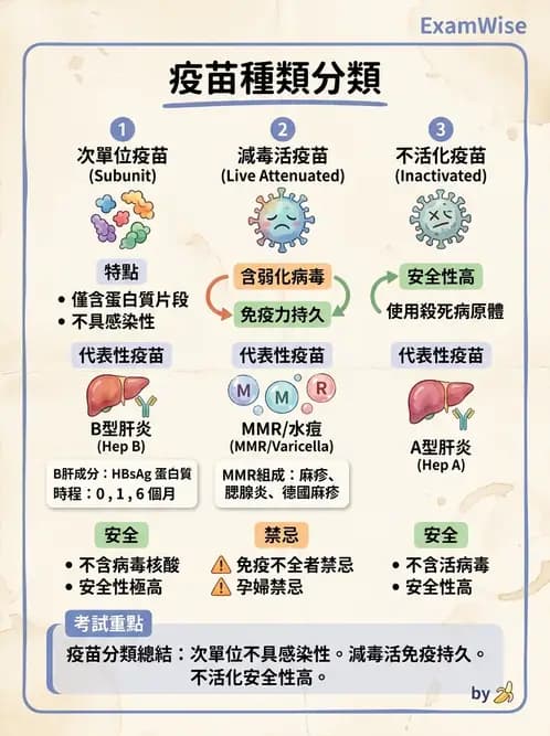 醫檢師 - 抗病毒藥物與疫苗通論 - AI 圖文解析預覽