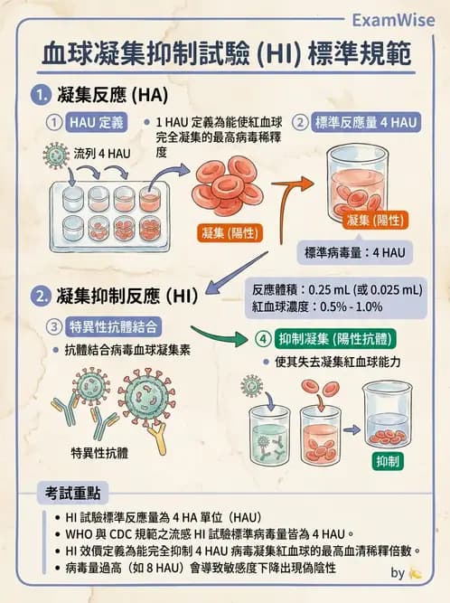 醫檢師 - 病毒檢驗技術 - AI 圖文解析預覽