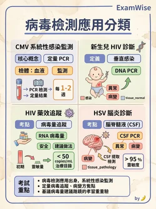 醫檢師 - 病毒檢驗技術 - AI 圖文解析預覽