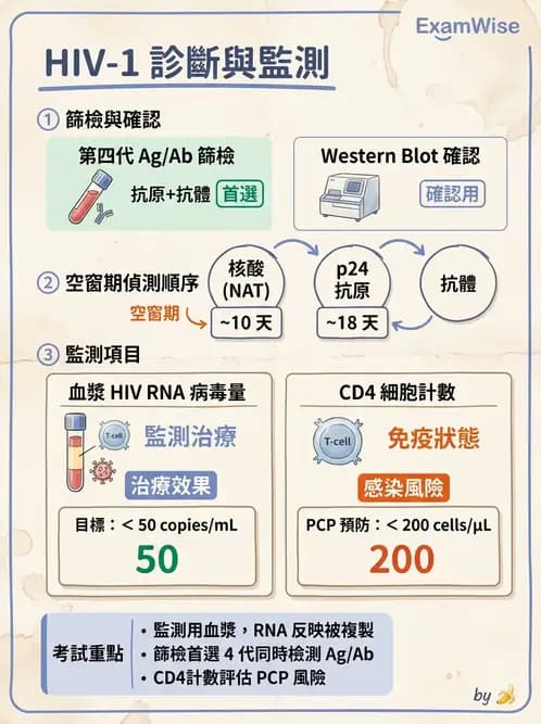 醫檢師 - 反轉錄病毒(HIV/HTLV) - AI 圖文解析預覽