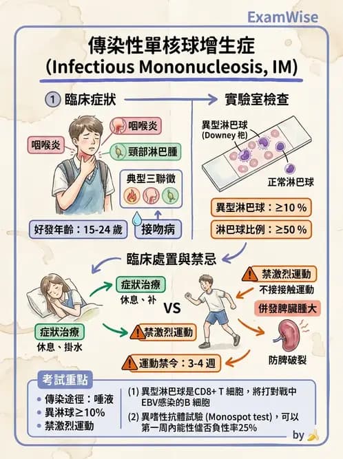 醫檢師 - 疱疹病毒科 - AI 圖文解析預覽