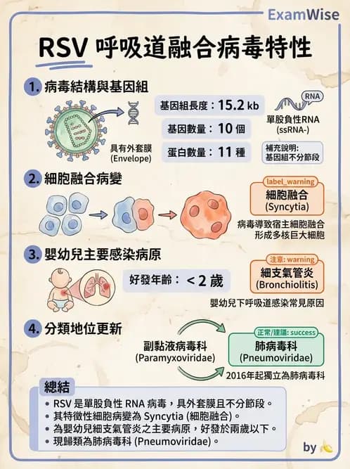 醫檢師 - 副黏液病毒科 - AI 圖文解析預覽