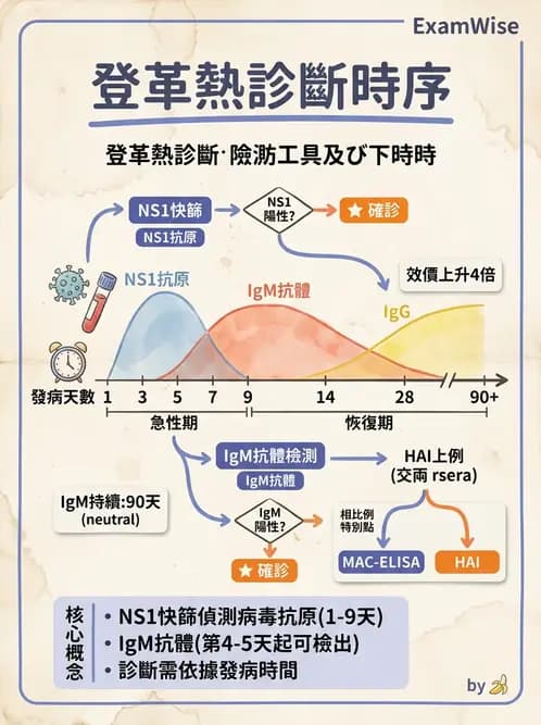 醫檢師 - 黃病毒科與蟲媒病毒 - AI 圖文解析預覽