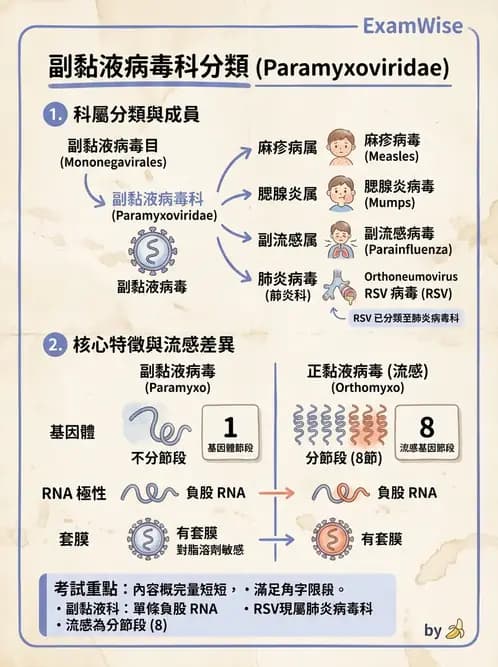 醫檢師 - 副黏液病毒科 - AI 圖文解析預覽