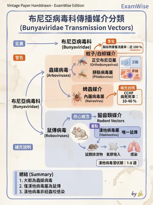 醫檢師 - 其他RNA病毒 - AI 圖文解析預覽