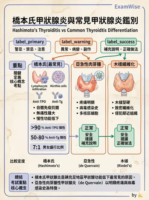 放射 - 內分泌系統疾病 - AI 圖文解析預覽