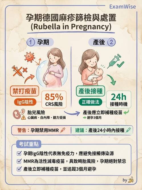 護理師 - 孕期營養心理與衛生政策 - AI 圖文解析預覽