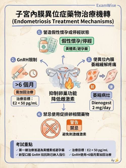護理師 - 不孕症月經與更年期 - AI 圖文解析預覽