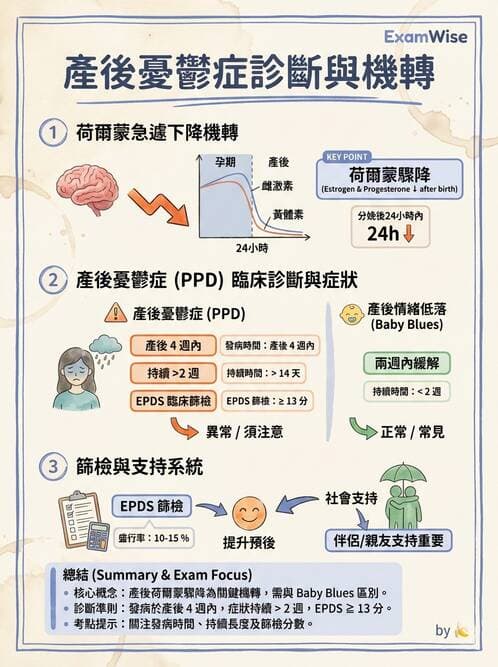 護理師 - 產後心理併發症與家庭計畫 - AI 圖文解析預覽