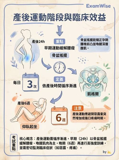 護理師 - 產後生理恢復與護理 - AI 圖文解析預覽