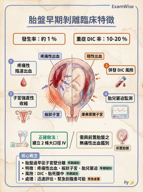 護理師 - 高危險妊娠 - AI 圖文解析預覽