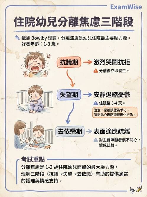護理師 - 兒童心理社會發展與遊戲 - AI 圖文解析預覽