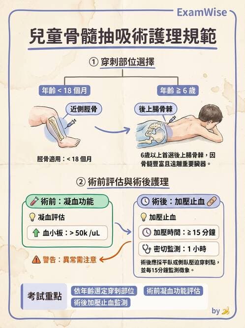 護理師 - 兒童血液與腫瘤疾病 - AI 圖文解析預覽