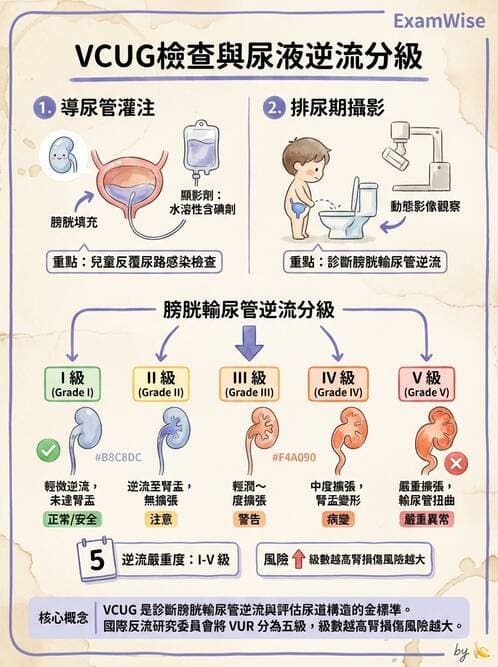 護理師 - 兒童泌尿系統疾病 - AI 圖文解析預覽