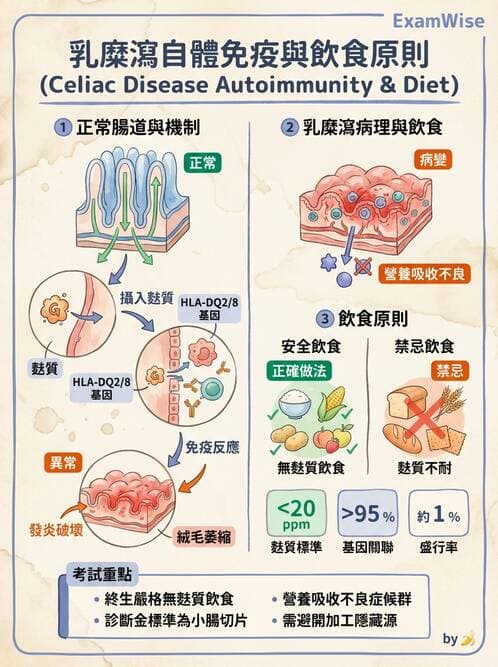 護理師 - 兒童消化系統疾病 - AI 圖文解析預覽