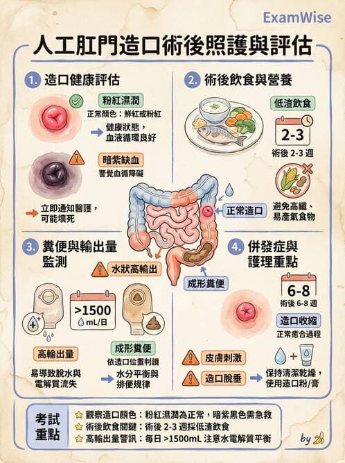 護理師 - 兒童消化系統疾病 - AI 圖文解析預覽