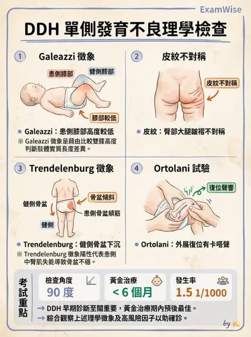 護理師 - 新生兒日常照護與篩檢 - AI 圖文解析預覽