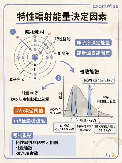 放射 - X光產生與特性 - AI 圖文解析預覽
