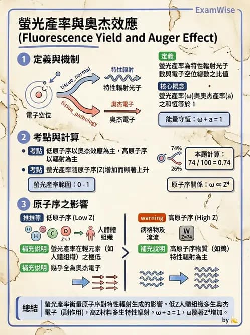 放射 - 放射性蛻變模式 - AI 圖文解析預覽
