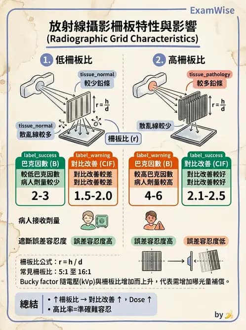 放射 - 曝光因子與影像品質 - AI 圖文解析預覽