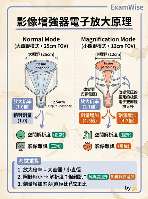 放射 - 透視與數位影像 - AI 圖文解析預覽