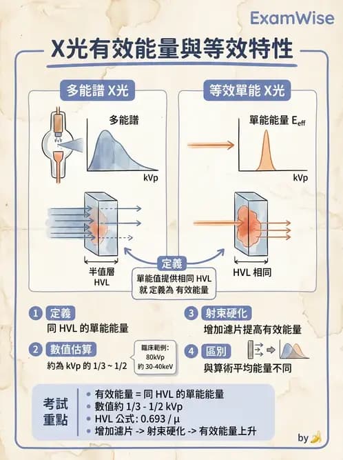 放射 - 光子衰減與係數計算 - AI 圖文解析預覽