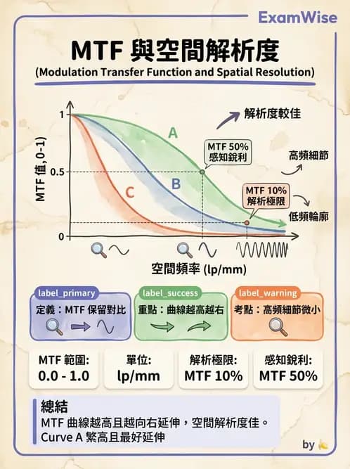 放射 - 透視與數位影像 - AI 圖文解析預覽